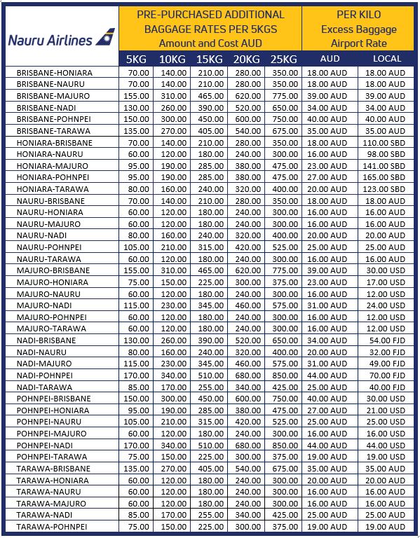 Excess 2025 baggage cost